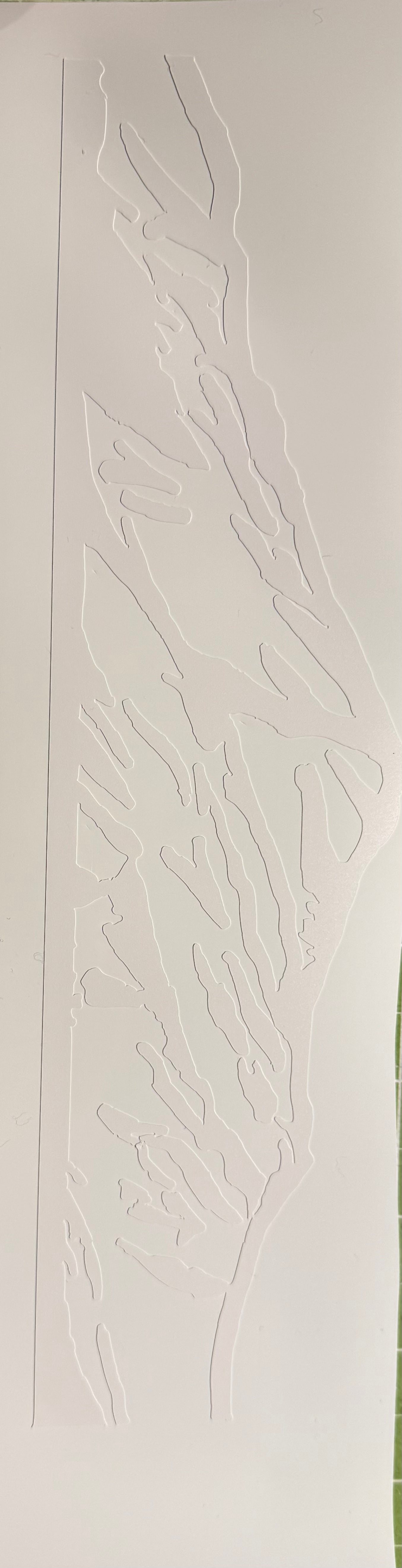 Mt Aspiring Vinyl Sticker